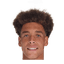 Witsel