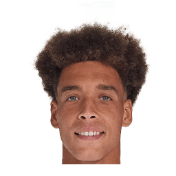 Witsel